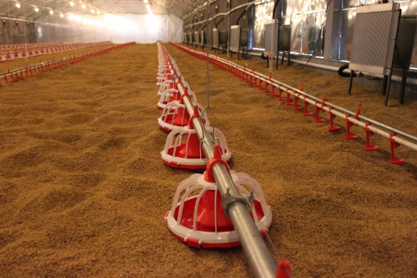 商品雞盤(pán)式驅(qū)動(dòng)